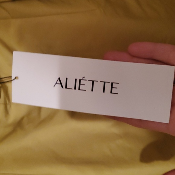 NWT initially priced at $690 Aliette skirt - Picture 3 of 4
